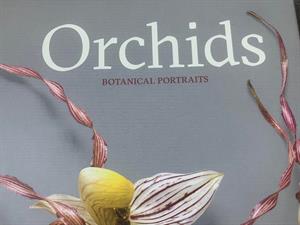 Orchids
